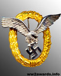 Нагрудный знак Пилот наблюдатель