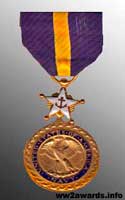 Медаль За выдающуюся службу ВМС